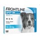 Frontline Spot-On Dog M 10-20Kg 6 Pipettes 3661103004134