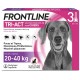 Frontline TRI-ACT Chiens 20-40 kg 3 Pipettes 3661103071235