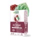 Santé Verte Levure de Riz Rouge 30 Comprimés 5060072731405
