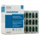 Ineldea Magnefor 90 Gélules 3700225641114