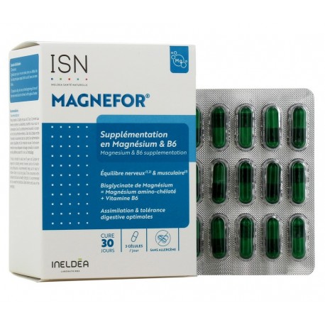Ineldea Magnefor 90 Gélules 3700225641114