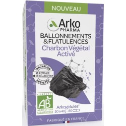 Arkogélules Charbon Végétal Activé Bio 80 Gélules 3578835503852