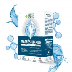 Santé Verte Magnésium + B6 60 Comprimés 3700695203553