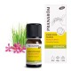Pranarôm Aromapic Soirée d’Été Paisible 10 ml 5420008525315