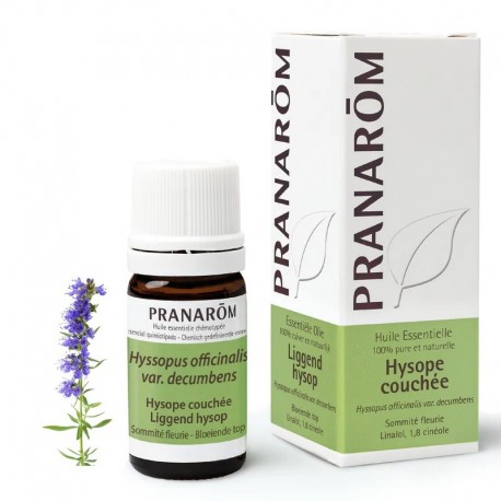 Pranarôm Huile Essentielle Hysope Couchée 5 ml 5420008534980