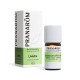 Pranarôm Huile Essentielle Livèche 5 ml 5420008526770