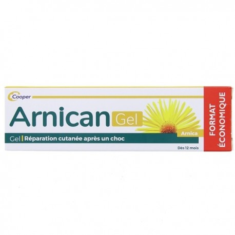 Arnican Gel 100 g 3401060285593