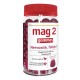 Mag 2 Gummies Nervousness Fatigue Raspberry 45 Gummies 3614810003648