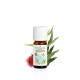 Puressentiel Huile Essentielle Eucalyptus Radié Bio 10 ml 3401599424074
