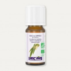 Docteur Valnet Huile Essentielle Eucalyptus Radiata 10 ml 3584410010233