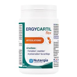 Nutergia Ergycartil Flex 90 Gélules