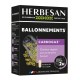 Herbesan Carbogaz 45 Capsules 3428883629809