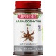 Superdiet Harpagophytum Bio 45 Gélules 3428881158202