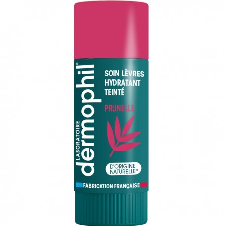 Dermophil Indian Tinted Moisturizing Lip Care Plum 4 g 3700322049349