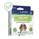 Lapsa Collier Chiot et Petite Race 3770021915351