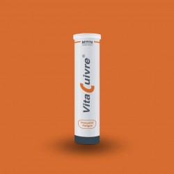 Monin Chanteaud Vitacuivre 20 Comprimés 3401570024279