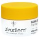 Alvadiem Nourishing Lip Balm 10 ml 3770008103498