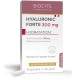 Biocyte Hyaluronic Forte 300 mg 30 Gélules 3760289221547