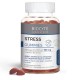 Biocyte Stress 60 Gummies 3760289222148
