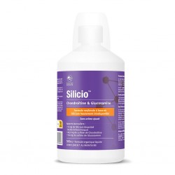Phytoresearch Silicio Chondroïtine & Glucosamine 500 ml